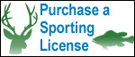 Purchasing a sporting license