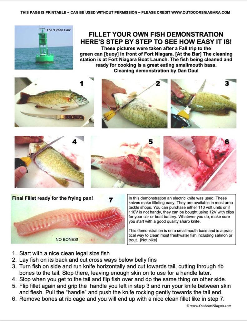 image of how to clean and filet a smallmouth bass