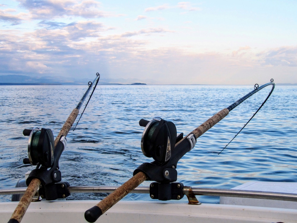 What Action Rod for Salmon Fishing - OutdoorsNiagara