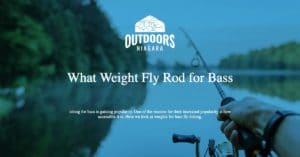 What Weight Fly Rod for Bass