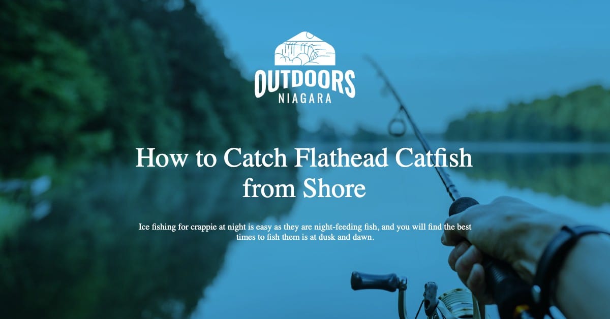 How to Catch Flathead Catfish from Shore - OutdoorsNiagara