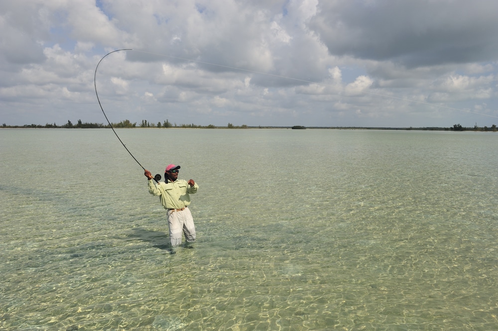 What Is the Best Time to Go Saltwater Fly Fishing - OutdoorsNiagara